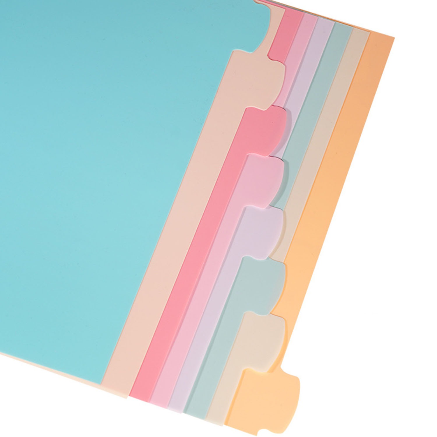 8 Tab Binder Dividers for 3 Ri - Paper Punch 3 Hole บทวิจารณ์และราคา